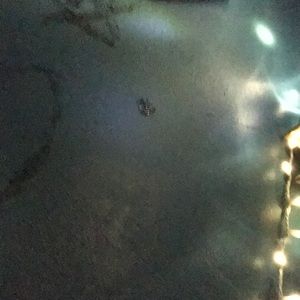 Meet your Posher, Adamari